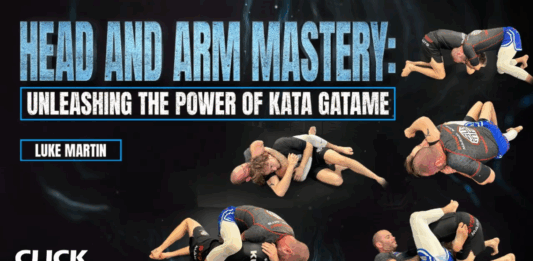 Head and Arm Mastery Luke Martin DVD Review