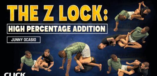 The Z Lock Junny Ocasio DVD Review