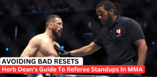 Making Sense Of Referee Standups In MMA: Herb Dean’s Criteria