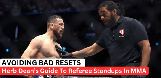 Making Sense Of Referee Standups In MMA: Herb Dean’s Criteria