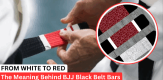 What Do Different BJJ Black Belt Bars And Stripes Mean?