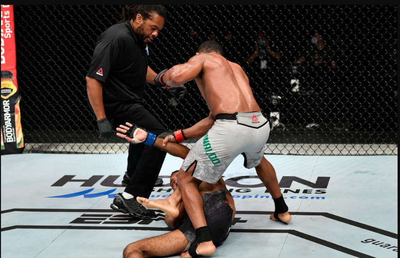 Referee Standups In MMA: Herb Dean’s Criteria
