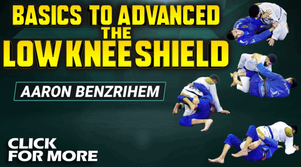 Basics To Advanced Half Guard Aaron Benzrihem DVD Review Low Knee Shield