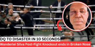Wanderlei Silva Post-Fight Knockout Turns A Boxing Match Into A Boss Fight