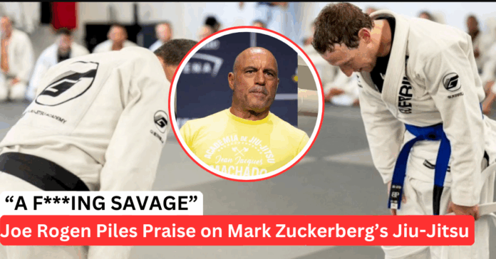 How Good Is Mark Zuckerberg In Jiu-Jitsu, Really?