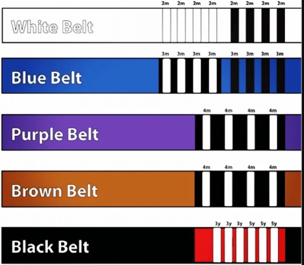 BJJ Blue Belt After One Month for $800