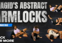 Magids Abstract Armlocks Magid Hage DVD Review