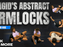 Magids Abstract Armlocks Magid Hage DVD Review