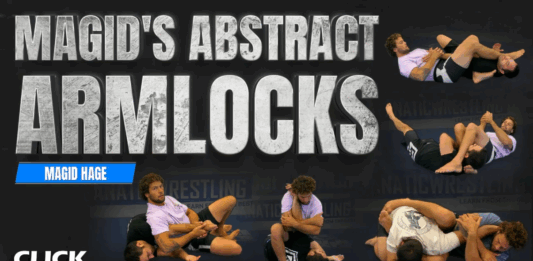 Magids Abstract Armlocks Magid Hage DVD Review