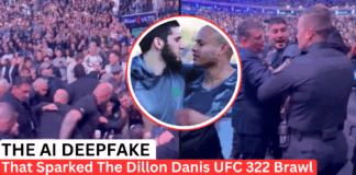 Dillon Danis UFC Brawl