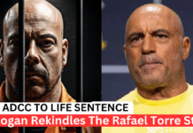 New Interview, Old Scars: The Rafiel Torre Fake BJJ Black Belt Story New Interview, Old Scars: Rafiel Torre Fake BJJ Black Belt Story Won’t Die