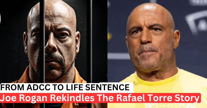 New Interview, Old Scars: Rafiel Torre Fake BJJ Black Belt Story Won’t Die