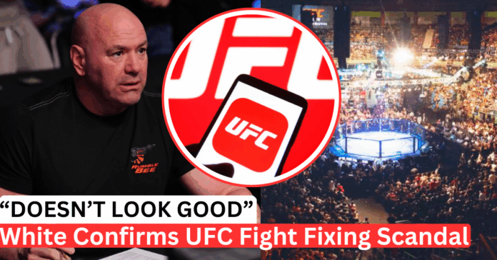 UFC Fight Fixing Scandal