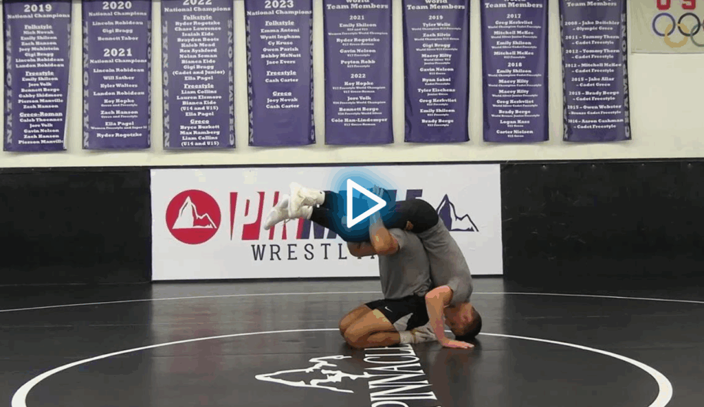 High Percentage Takedowns Michael Kemerer DVD Free Sample