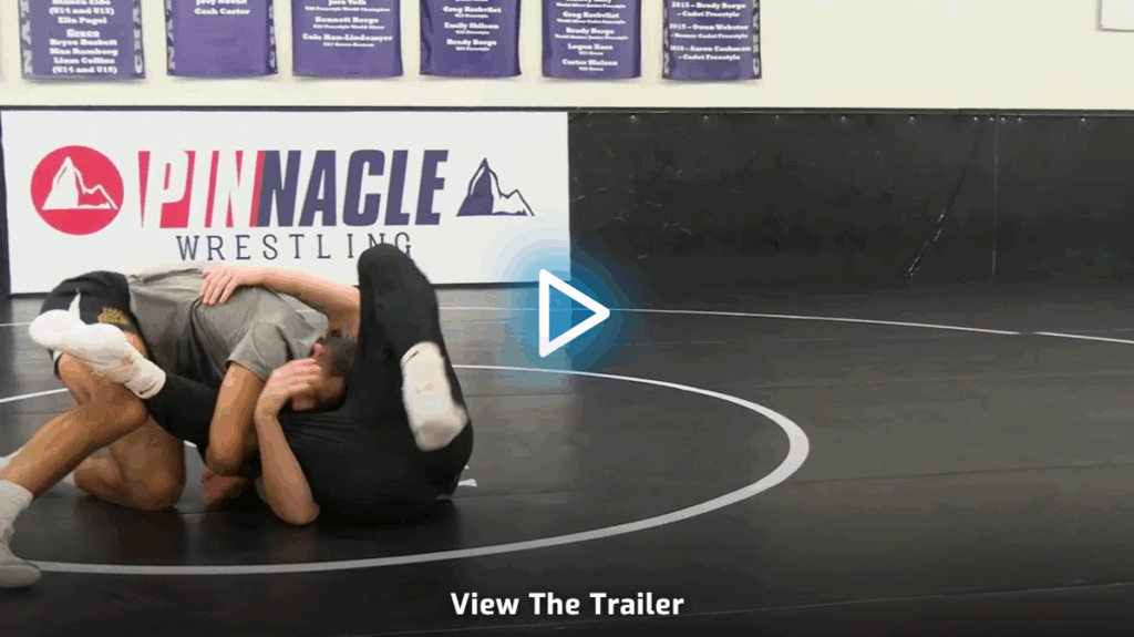 High Percentage Takedowns Michael Kemerer DVD Preview