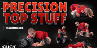 Precision Top Stuff Shawn Melanson DVD Review