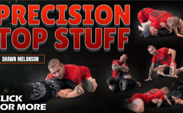 Precision Top Stuff Shawn Melanson DVD Review