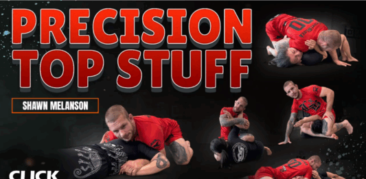 Precision Top Stuff Shawn Melanson DVD Review