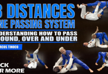 3 Distances One Passing System Marcos Tinoco DVD Review