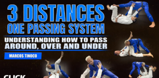 3 Distances One Passing System Marcos Tinoco DVD Review