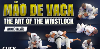 The Art of The Wrist Lock Andre Galvao DVD Review