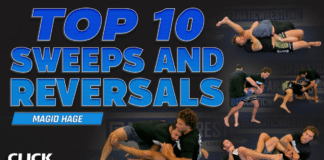 Top 10 Sweeps and Reversals Magid Hage DVD Review