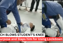 BJJ Instructor Blows Out Knee After “Punishing” Student For Using Lockdown In Class BJJ Instructor Blows Out Knee After “Punishing” Student For Using Lockdown In Class