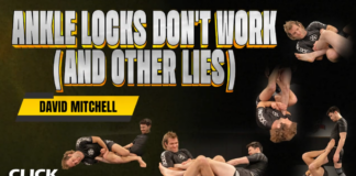 Ankle Locks Don't Work David Mitchell DVD Review