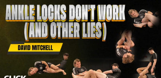 Ankle Locks Don't Work David Mitchell DVD Review