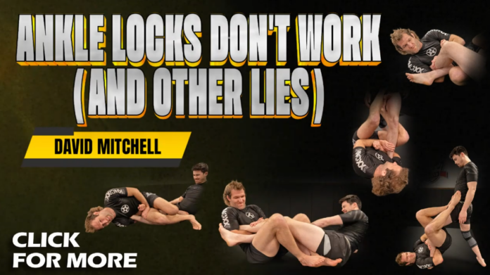 Ankle Locks Don't Work David Mitchell DVD Review