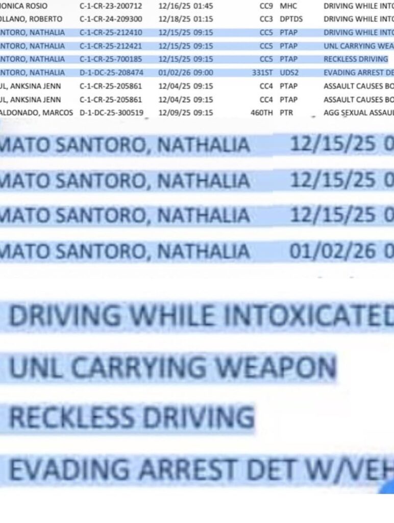 Nathalia Santoro Arrest Charges
