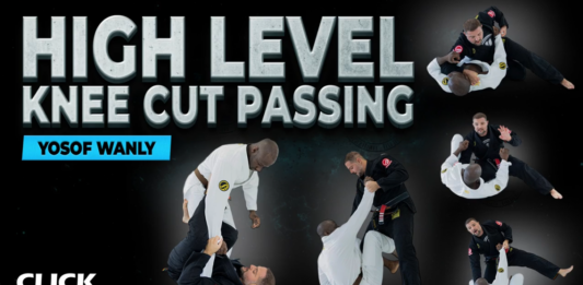 High Level Knee Cut Passing Yosof Wanly DVD Review