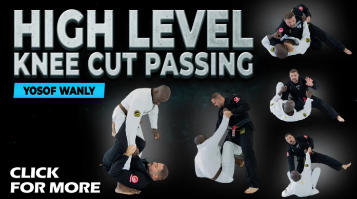 High Level Knee Cut Passing Yosof Wanly DVD Review