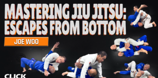 Mastering Jiu-Jitsu Escapes From Bottom Joe Woo DVD Review