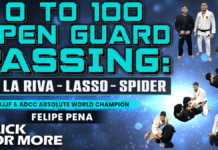0 To 100 Open Guard Passing Felipe Pena DVD Review