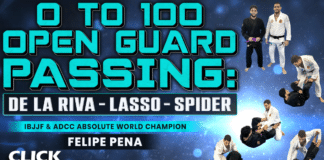 0 To 100 Open Guard Passing Felipe Pena DVD Review