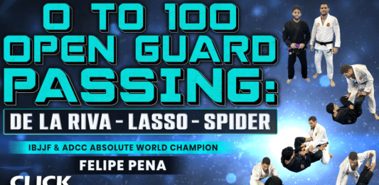 0 To 100 Open Guard Passing Felipe Pena DVD Review