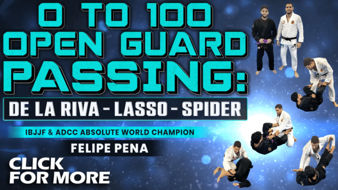 0 To 100 Open Guard Passing Felipe Pena DVD Review