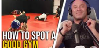 Matt Serra On Bad BJJ Gyms: The Red Flags Beginners Should Notice Fast