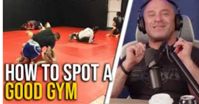 matt-serra-on-bad-bjj-gyms Matt Serra On Bad BJJ Gyms: The Red Flags Beginners Should Notice Fast