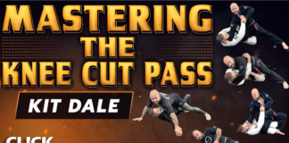 Mastering The Knee Cut Pass Kit Dale DVD Review