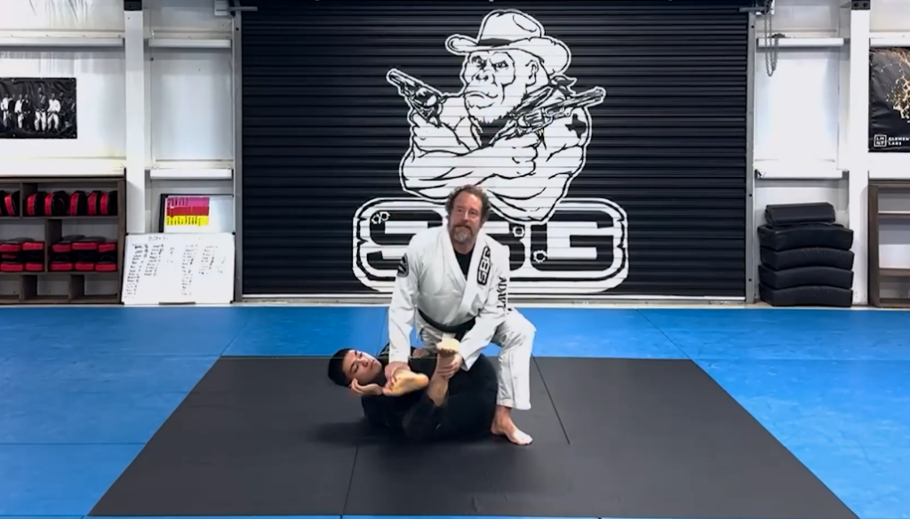 Practical Jiu Jitsu Michael Heinz DVD Free Sample