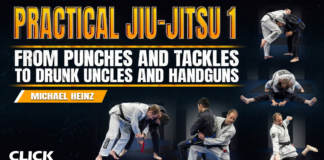 Practical Jiu Jitsu Michael Heinz DVD Review