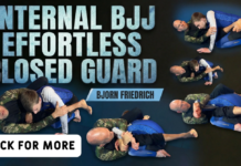 Efforless Closed Guard Bjorn Friedrich DVD Review