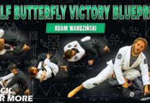 Half Butterfly Victory Blueprint Adam Wardzinski DVD Review