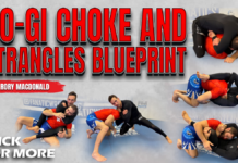 No-Gi Choke and Strangles Blueprint by Rory MacDonald DVD Review