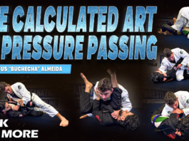 DVD Collections Archives - Page 38 of 45 - BJJ World