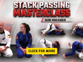 DVD Collections Archives - BJJ World