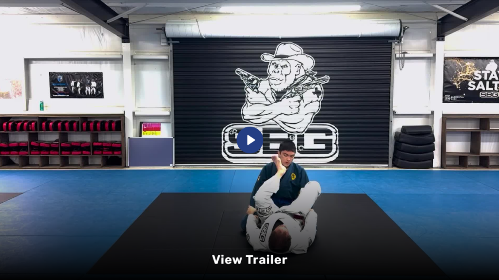 Practical Jiu Jitsu 2: Using The Legs Michael Heinz DVD Preview