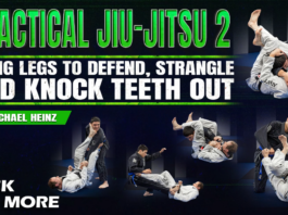 Practical Jiu Jitsu 2: Using The Legs Michael Heinz DVD Review